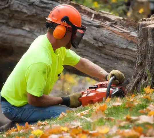 tree services Johnson City